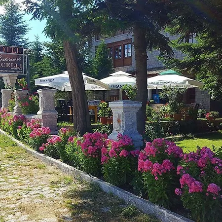 Hotel Bacelli 4*
