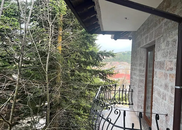 Bacelli ホテル Voskopojë